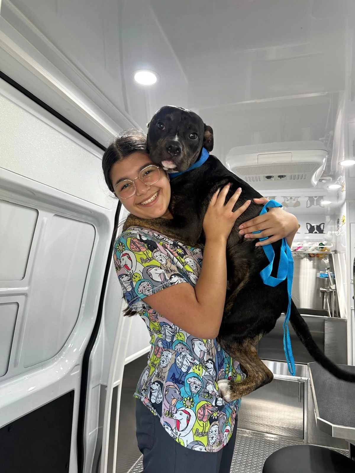 Ori and dog Mobile Pet Groming - Oris Pet spa